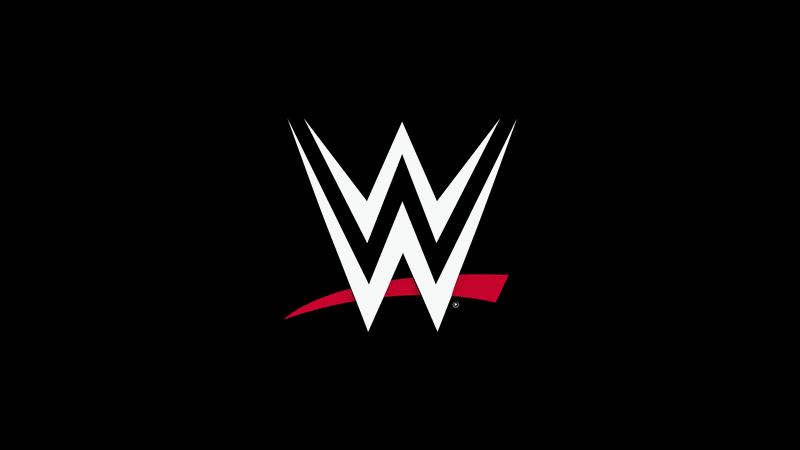 Discovery splash banner for WWE Discord server