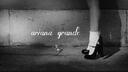Discovery splash banner for Ariana Grande ꕤ Discord server