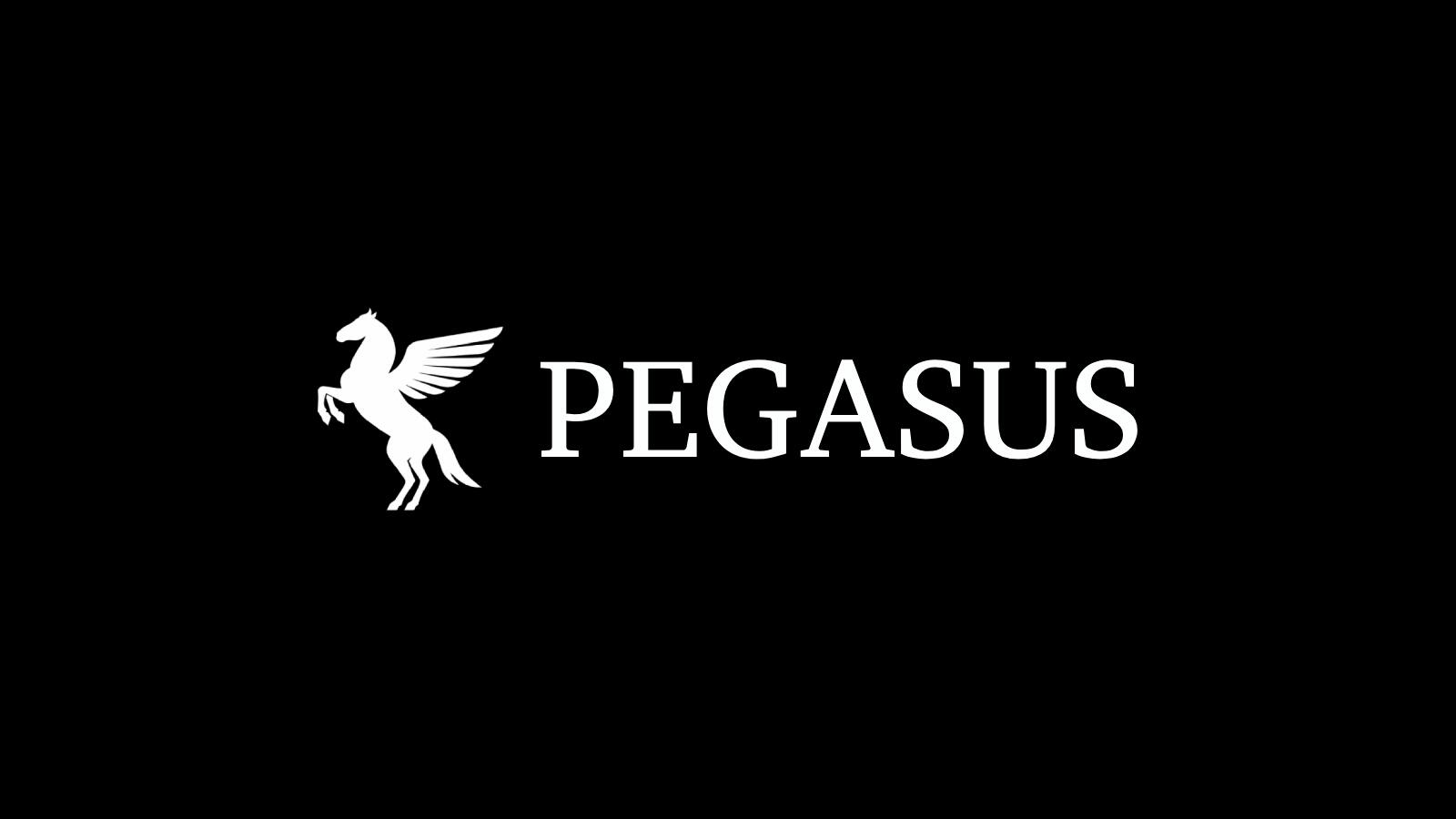 Discovery splash banner for Pegasus Discord server