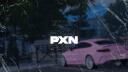 Discovery splash banner for © PXN - Officiel 👑 Discord server