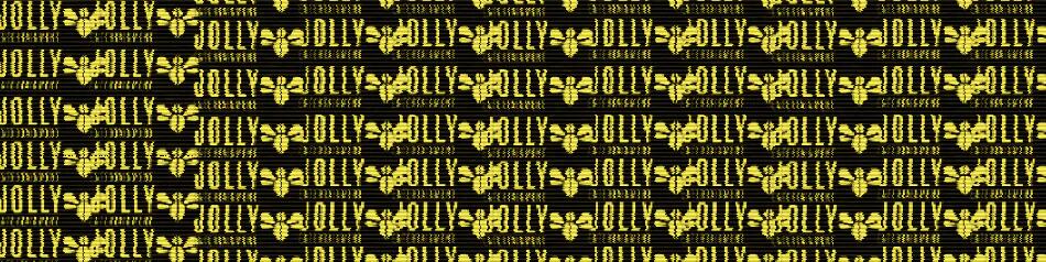 Discovery splash banner for The Official JOLLY Server Discord server