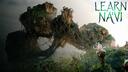 Discovery splash banner for LearnNavi.org Community Discord server