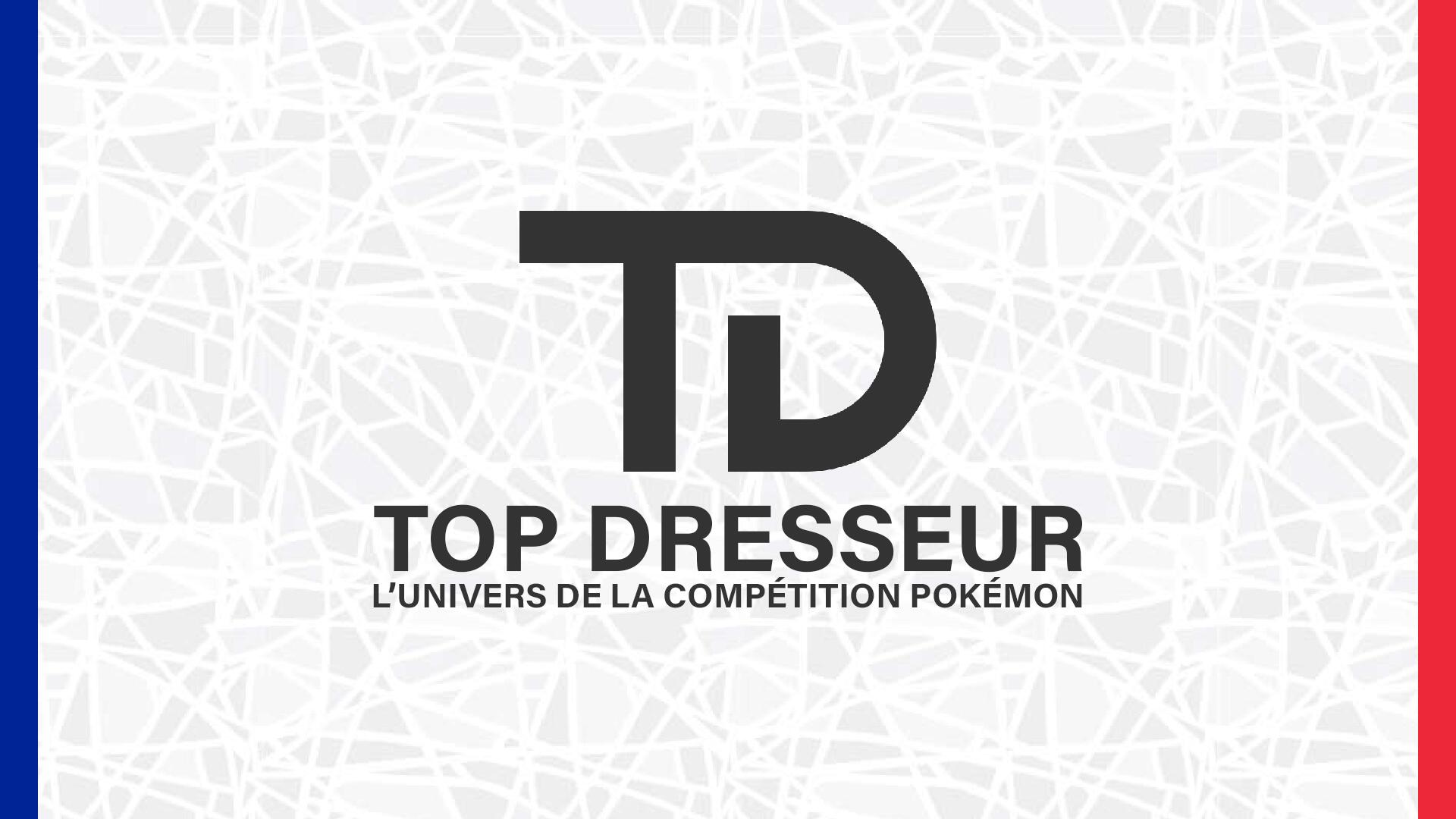 Discovery splash banner for Top Dresseur Discord server