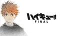 Discovery splash banner for Haikyuu Volleycamp Discord server