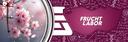 Discovery splash banner for FruchtLabor e.V. - CS Discord server