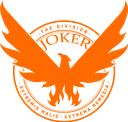 Discovery splash banner for THE DIVISION BRASIL Discord server