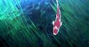 Discovery splash banner for Aquarius 🐬 | Social • Gaming • Music • Giveaways • Art Discord server