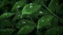 Discovery splash banner for Books Coffee & Dreams Study Server Discord server