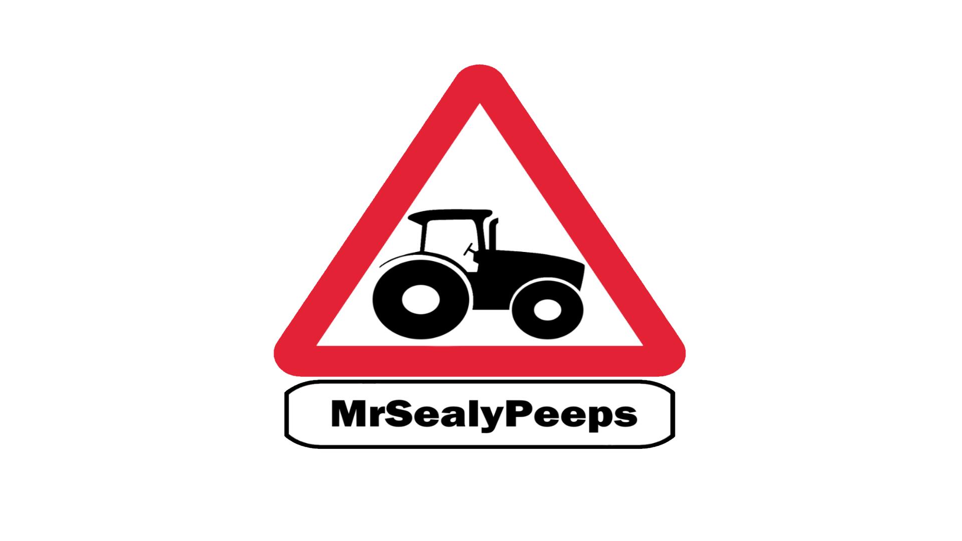 Discovery splash banner for MrSealyPeeps Discord server
