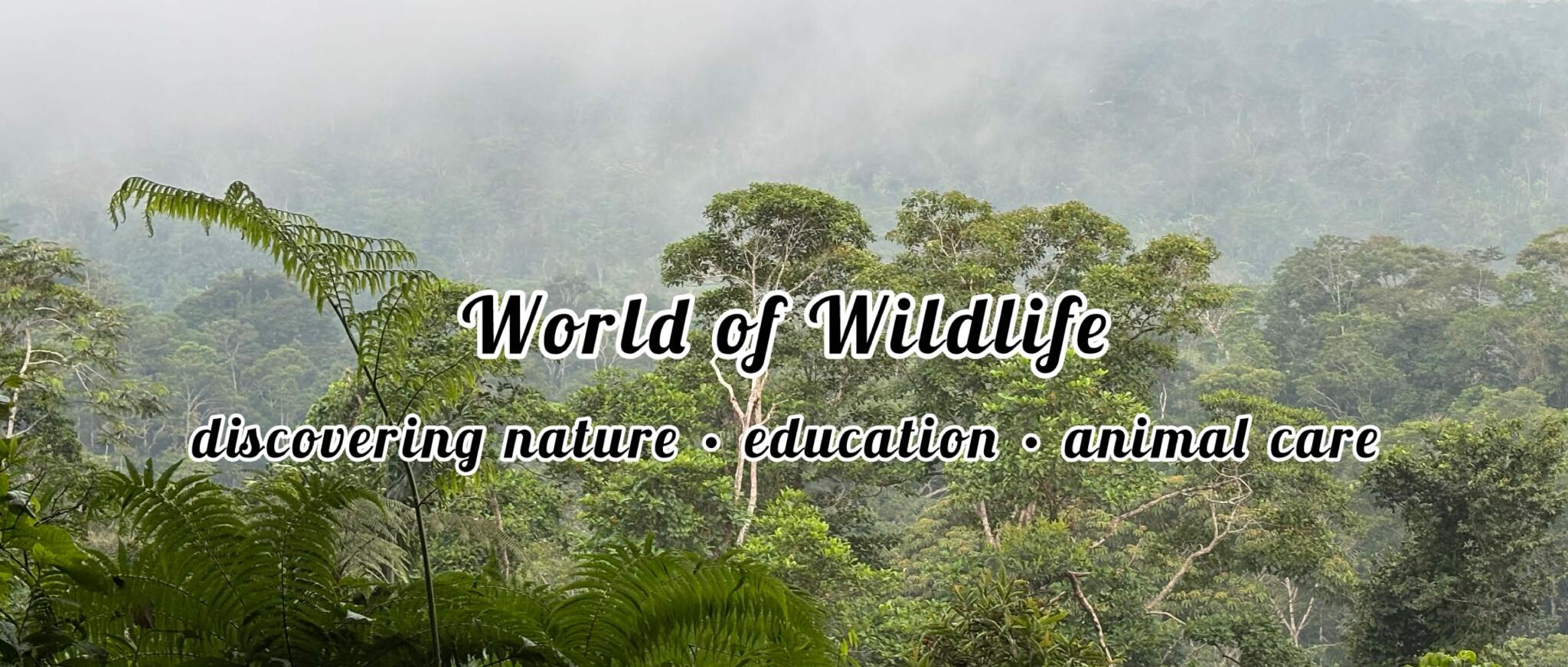 Discovery splash banner for World of Wildlife ๐ฒ Discord server