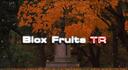 Discovery splash banner for Blox Fruits TR Discord server