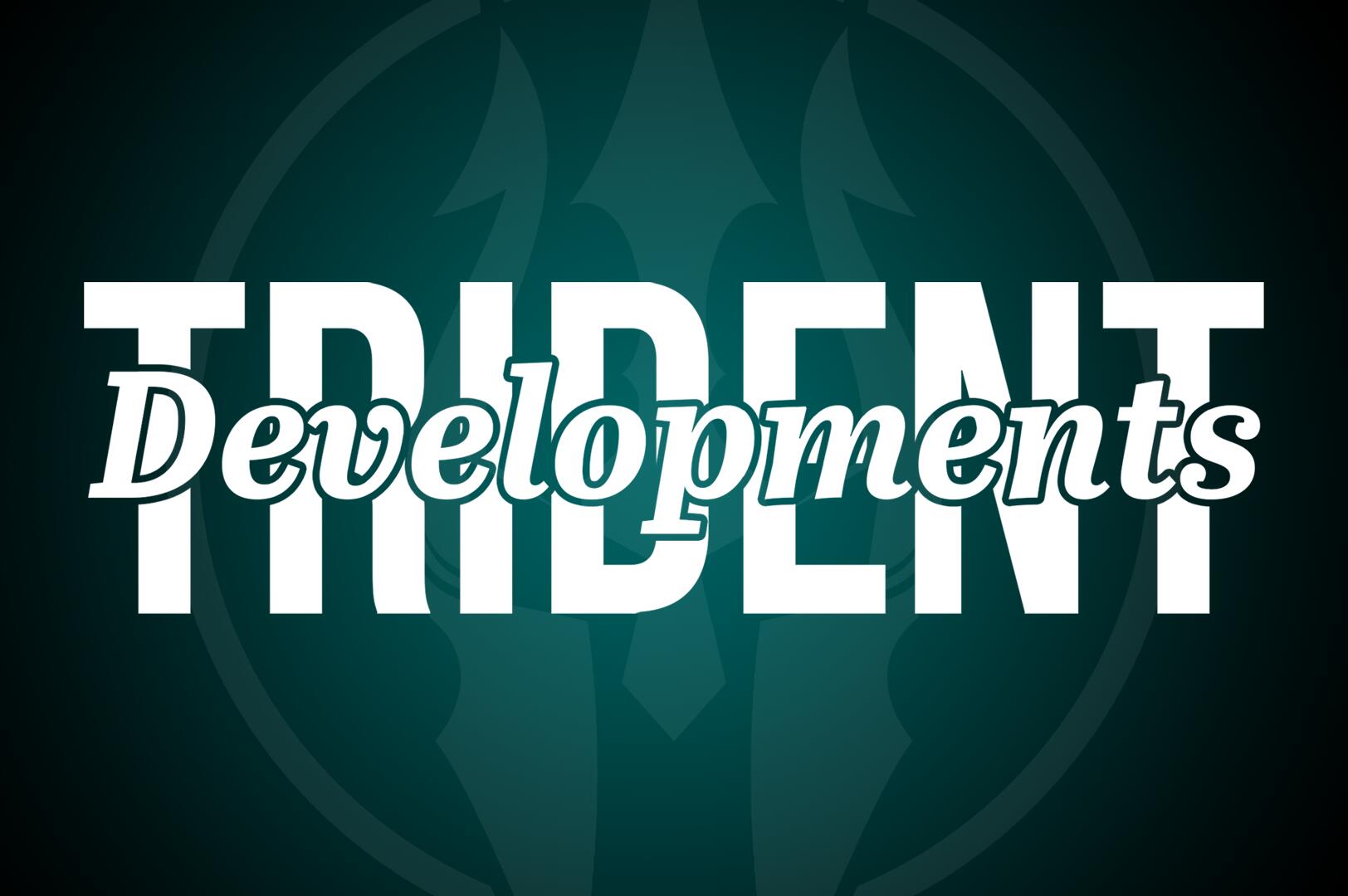 Discovery splash banner for Trident Developments Discord server