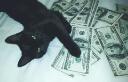 Discovery splash banner for Unalom Van Discord server