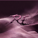 Discovery icon for RÊVE, Studios. Discord server