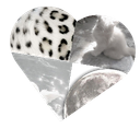 Discovery icon for ꒰。cherish my ノdouce 𓂃 ͜ Discord server