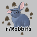Discovery icon for Rabbitors Discord server